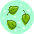 communauté-de-communes-limouxin-icone-feuilles